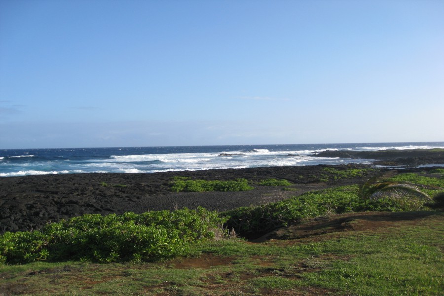 ../image/punaluu black sand beach 9.jpg